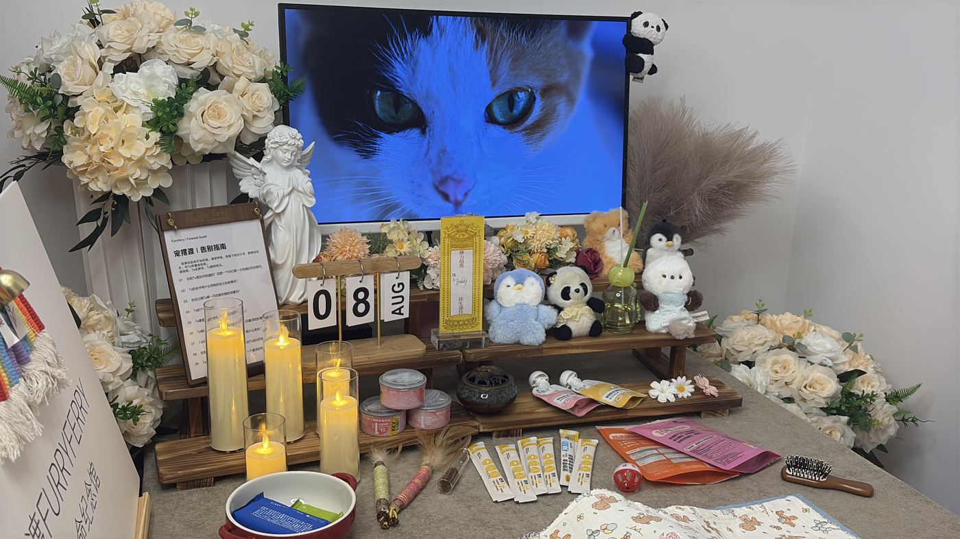 绵阳宠物告别厅