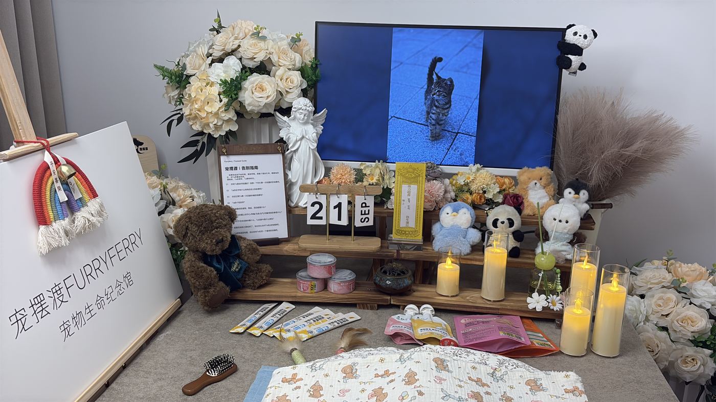 预约提示与准备