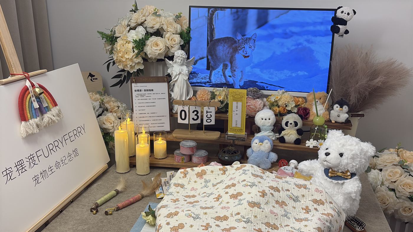开具死亡证明