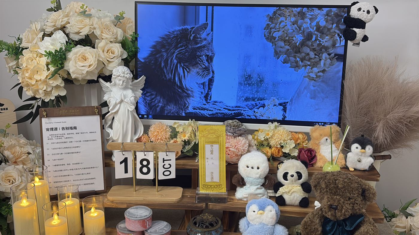 如何面对宠物离世的悲伤？写给绵阳养宠人的心理支持