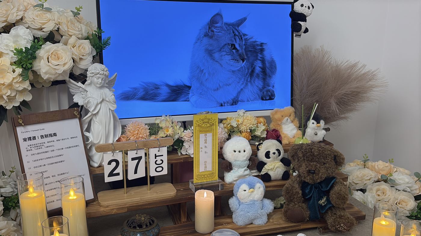 二、费用构成：逐项说明